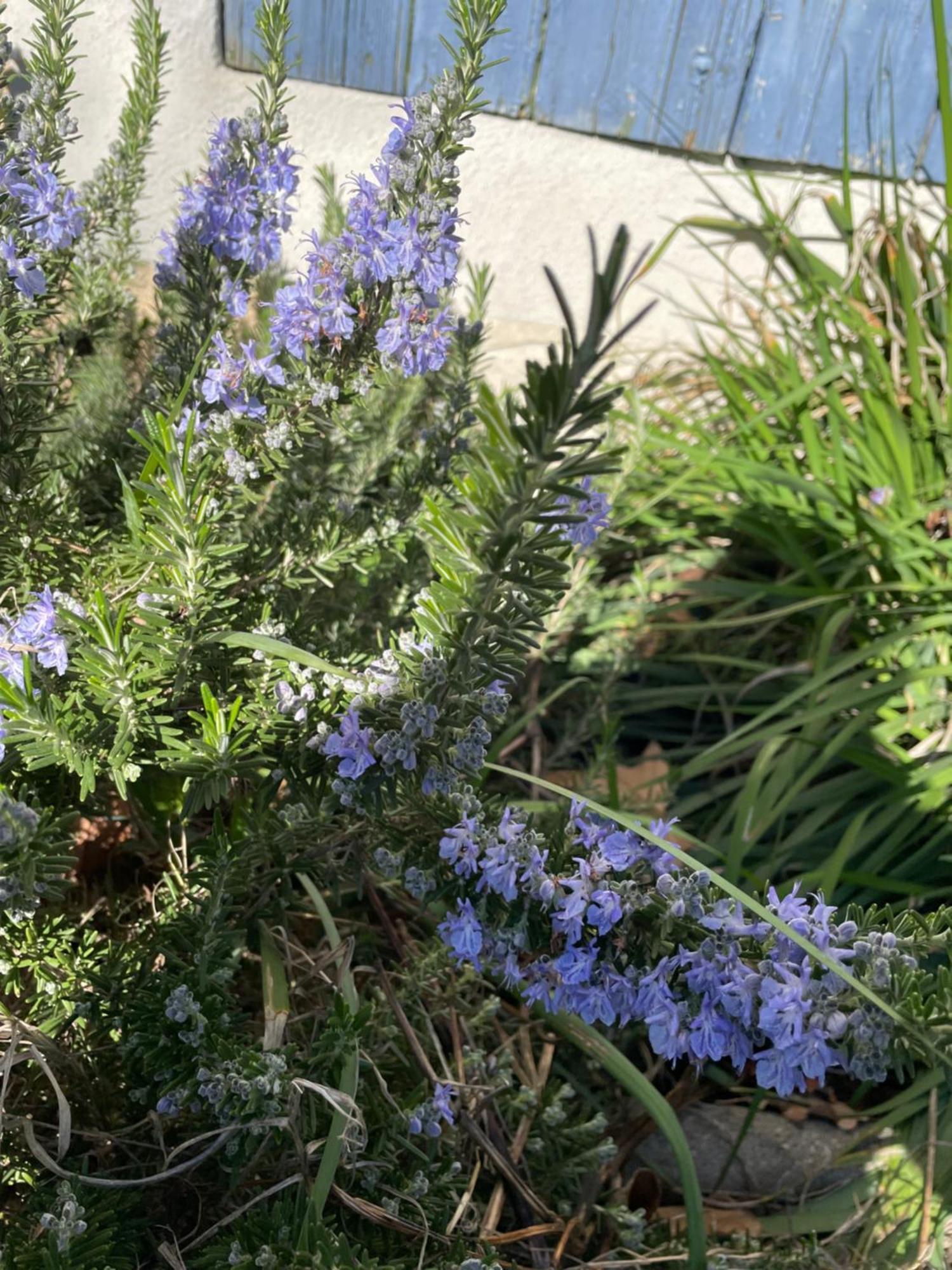 Gites Le Pimayon Μανόσκ Εξωτερικό φωτογραφία