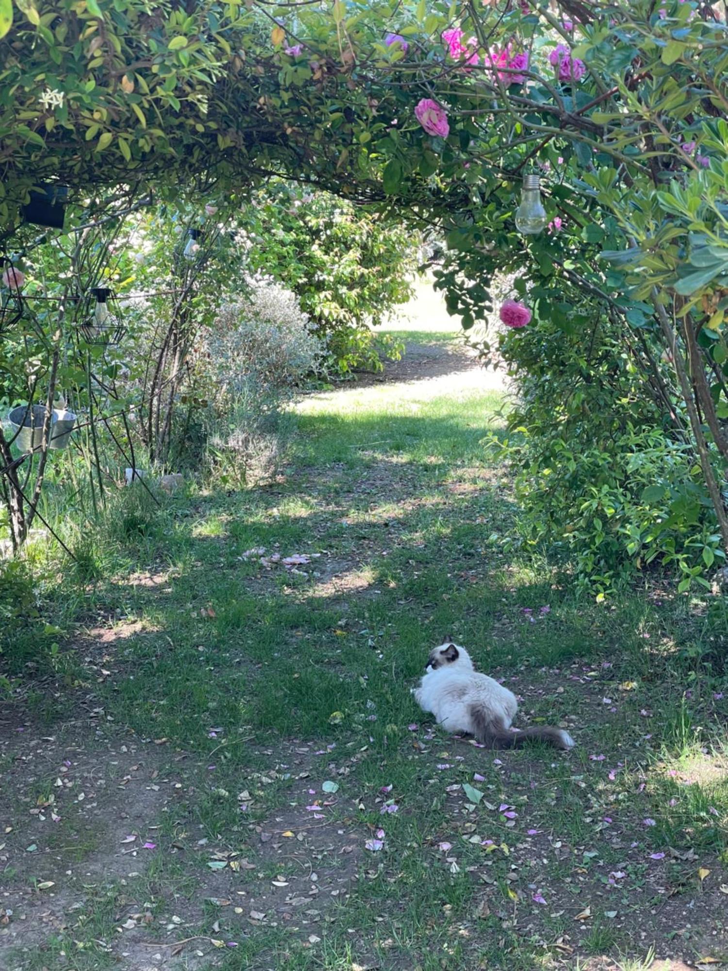 Gites Le Pimayon Μανόσκ Εξωτερικό φωτογραφία