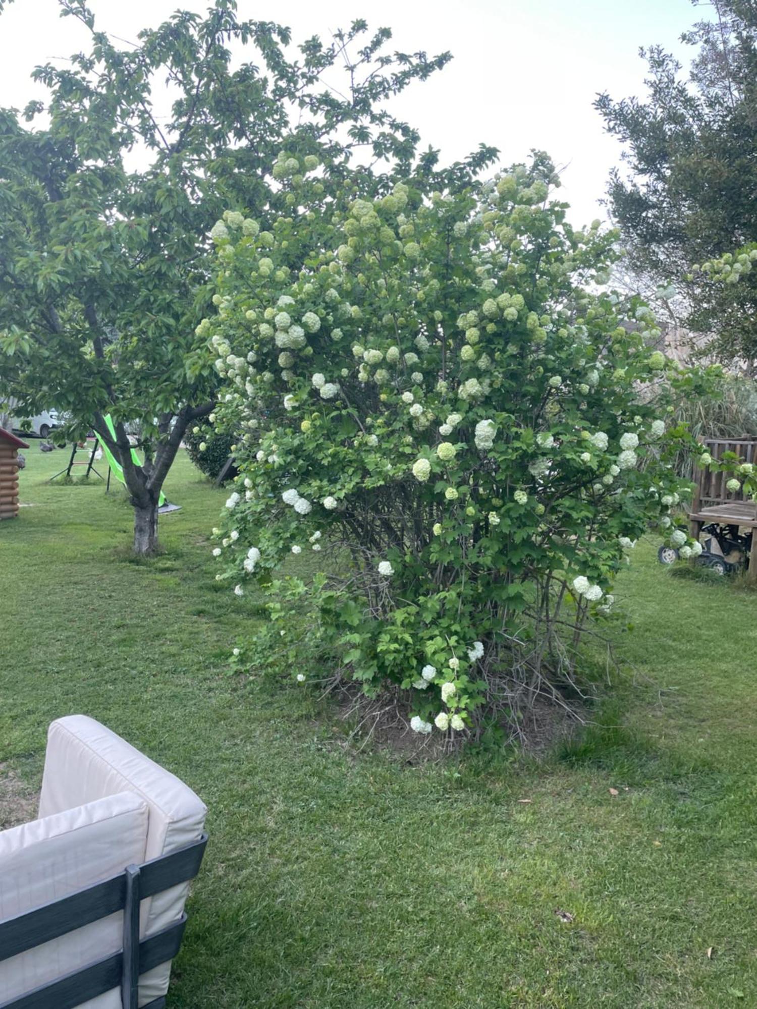 Gites Le Pimayon Μανόσκ Εξωτερικό φωτογραφία