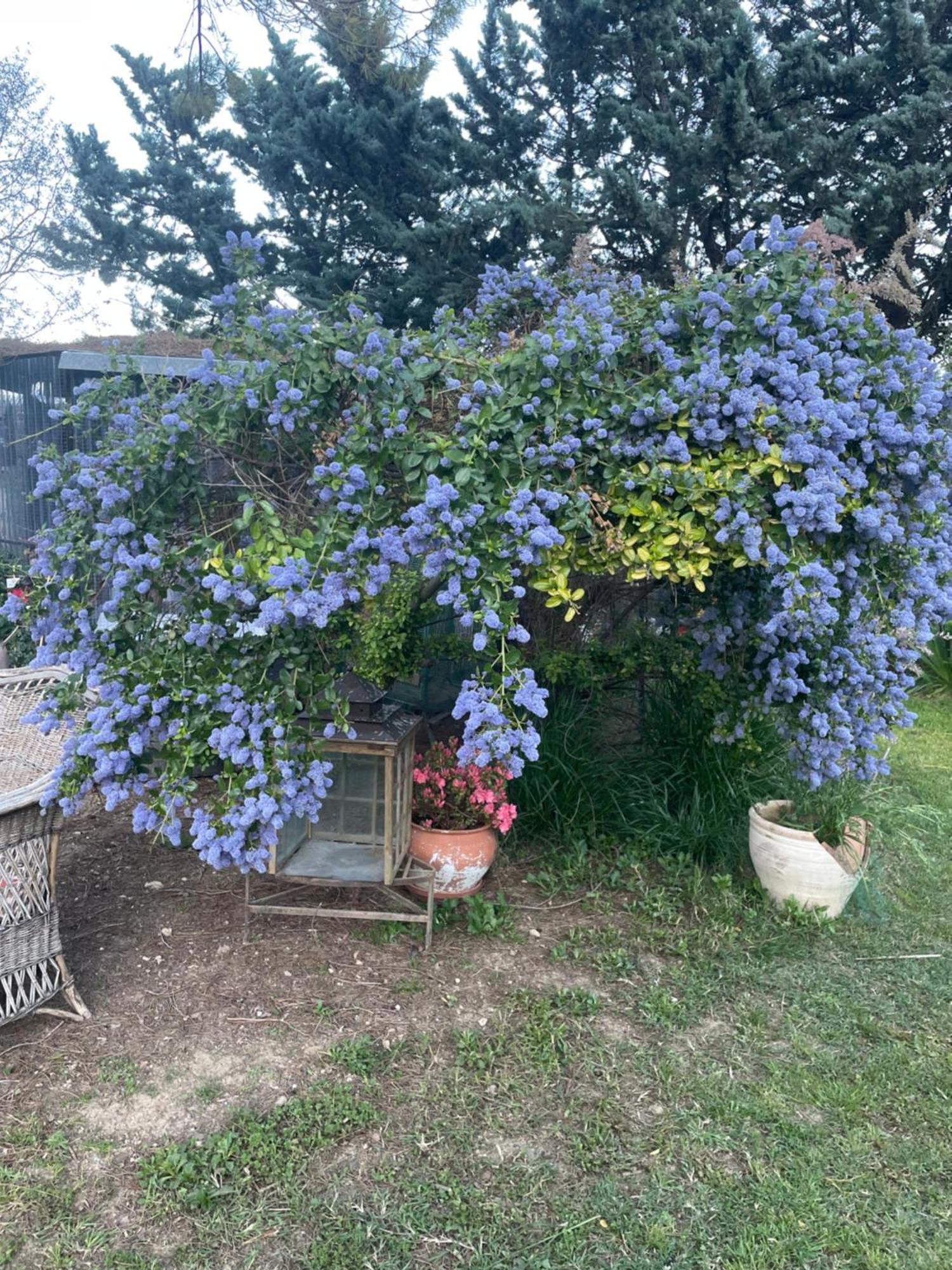 Gites Le Pimayon Μανόσκ Εξωτερικό φωτογραφία